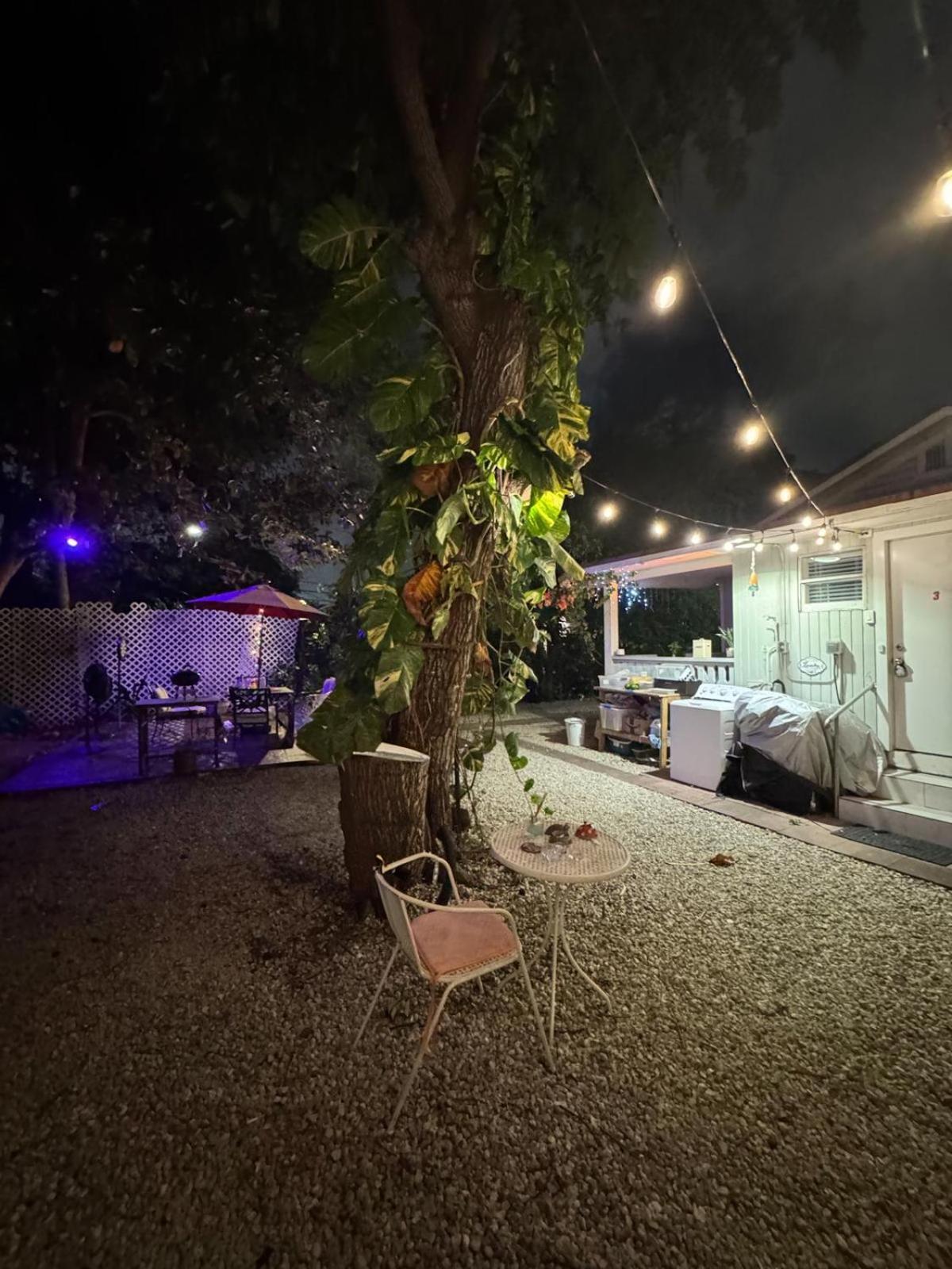Deluxe Room In Best Location Miami In A 2 Bedrooms Unit - Parking, Laundry And Luggage Storage Exterior foto
